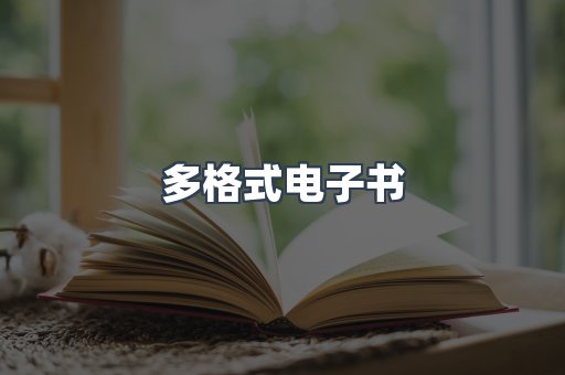 多格式电子书